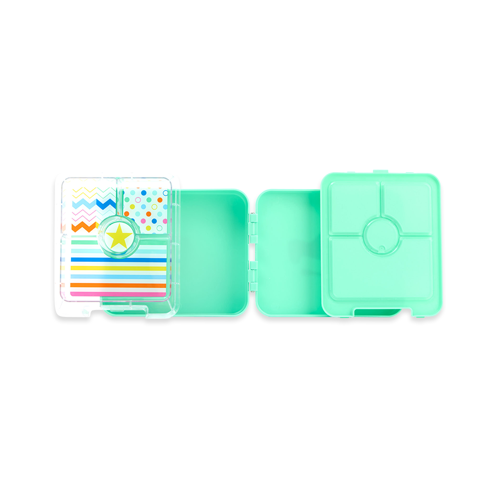 Penny Scallan Dino Rock Mini Bento Box Compotents Front view