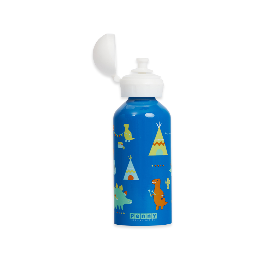 Penny Scallan Stainless Steel Drink Bottle Dino Rock