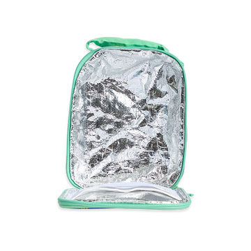 Large Insulated Lunch Bag - Dino Rock